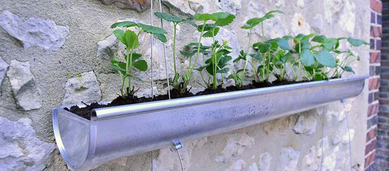 DIY : Transformez une gouttière en jardinière suspendue