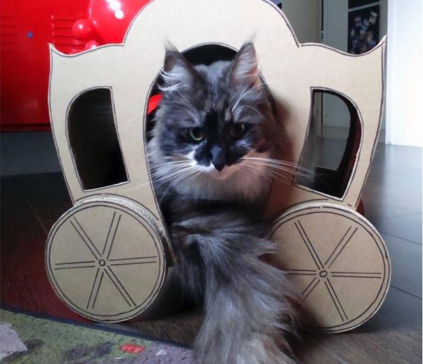 Les Chat-banes : ces drôles de cabanes en carton pour chat