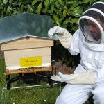 Bertrand Laurentin, fondateur de Label Abeille, fait la démonstration de sa ruche connectée.