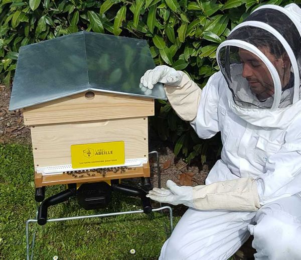 Des ruches connectées pour sauver les abeilles