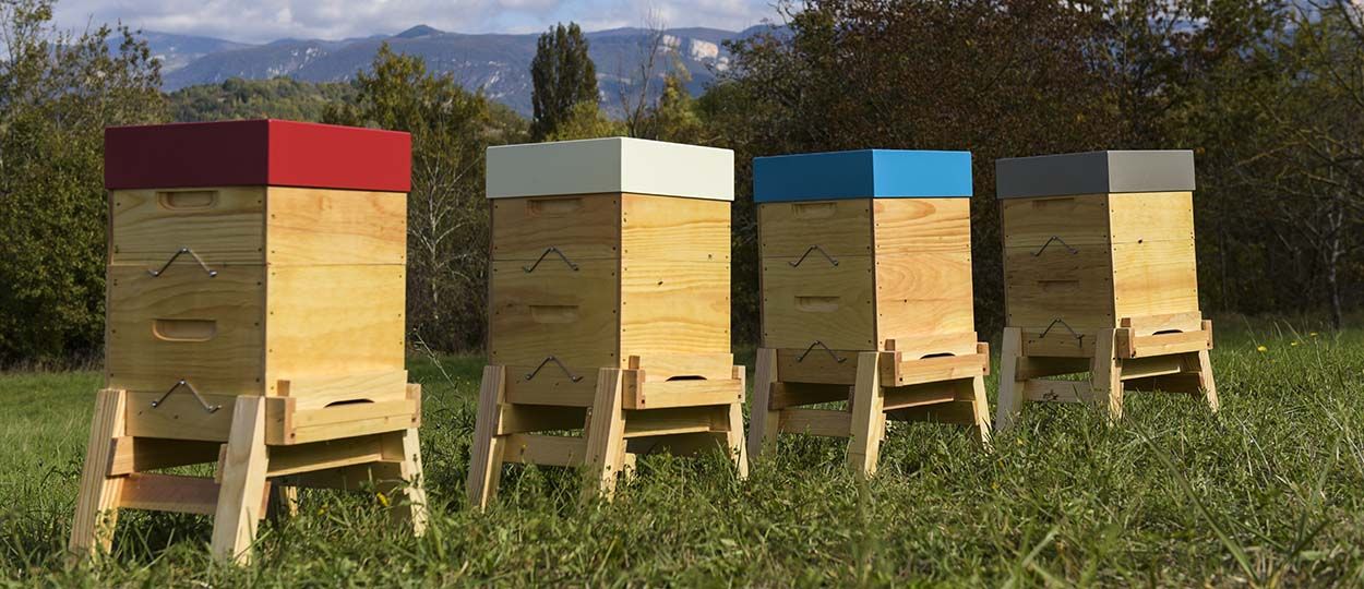 Des ruches de jardin 100 % made in France