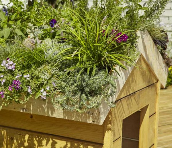 Tuto : Fabriquez une toiture végétale pour la niche de votre chien