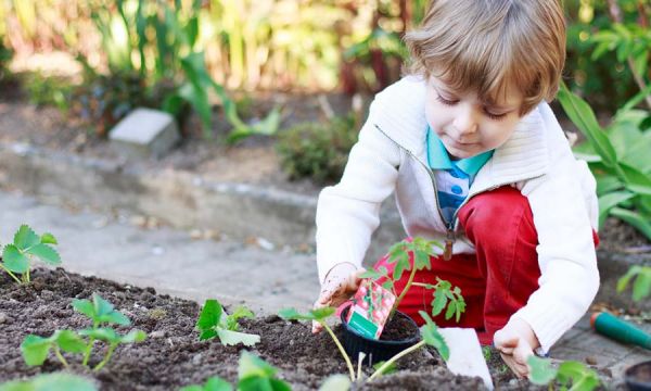 Éveil au potager : tout ce que le jardinage apporte à votre enfant