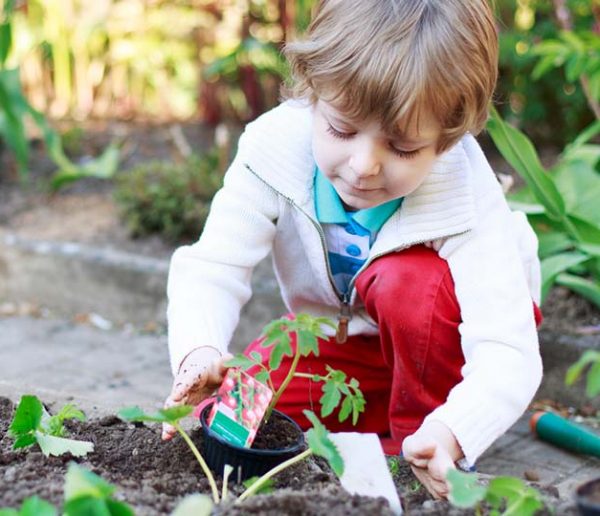 Éveil au potager : tout ce que le jardinage apporte à votre enfant