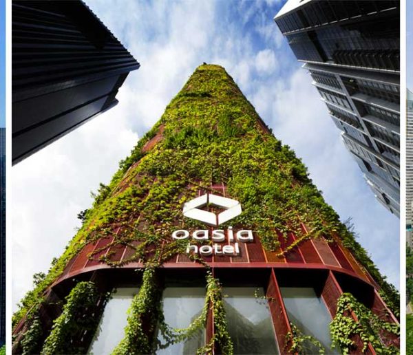 Magnifique : la végétation envahit la façade de cet hôtel de Singapour
