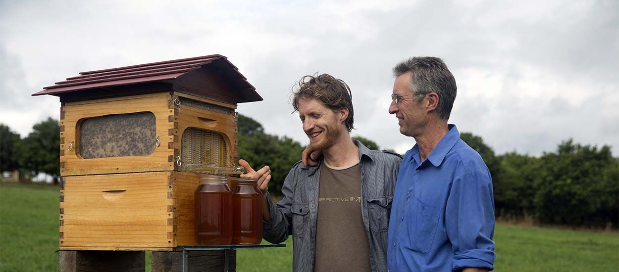 La ruche à robinet, pour récolter le miel sans déranger les abeilles