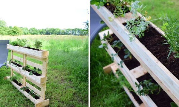 Tuto : Fabriquez un jardin vertical en palette pour terrasse et jardin !