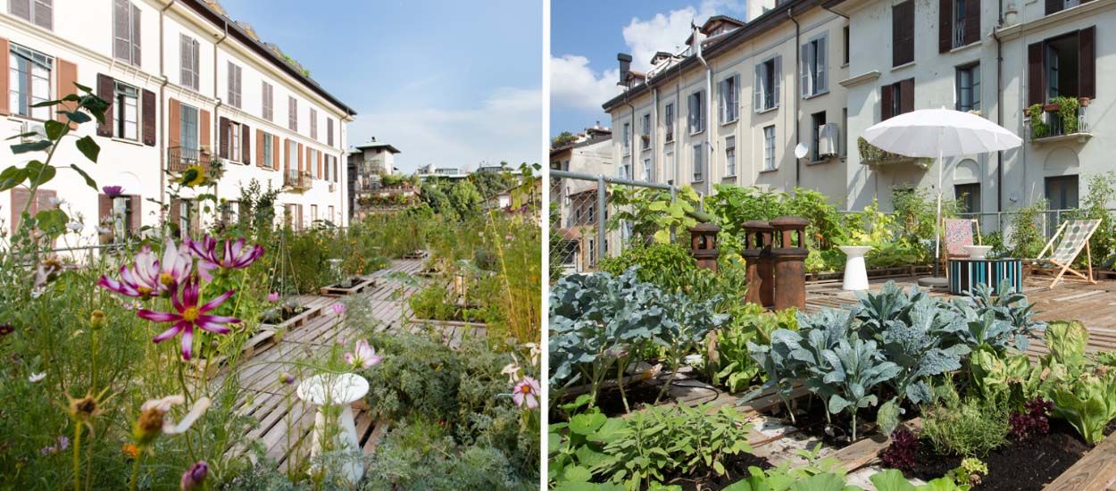 Inspiration : Et si vous transformiez votre toit en jardin, comme sur cet immeuble ?