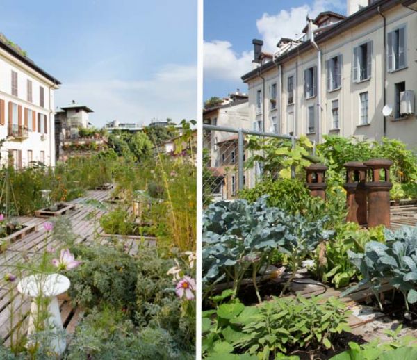 Inspiration : Et si vous transformiez votre toit en jardin, comme sur cet immeuble ?