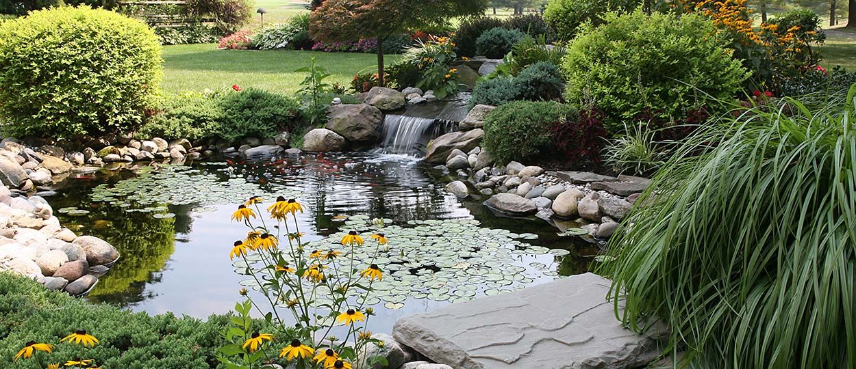 Fraîcheur au jardin : 8 bassins qui vont vous inspirer