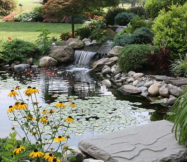 Fraîcheur au jardin : 8 bassins qui vont vous inspirer