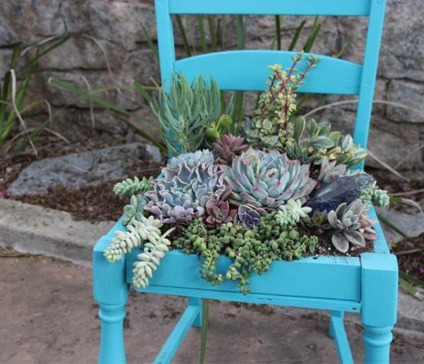 Tuto upcycling : Sublimez une vieille chaise avec des succulentes