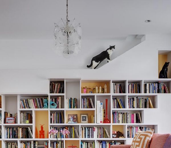 Cette maison est un paradis pour les amoureux de livres et de chats !