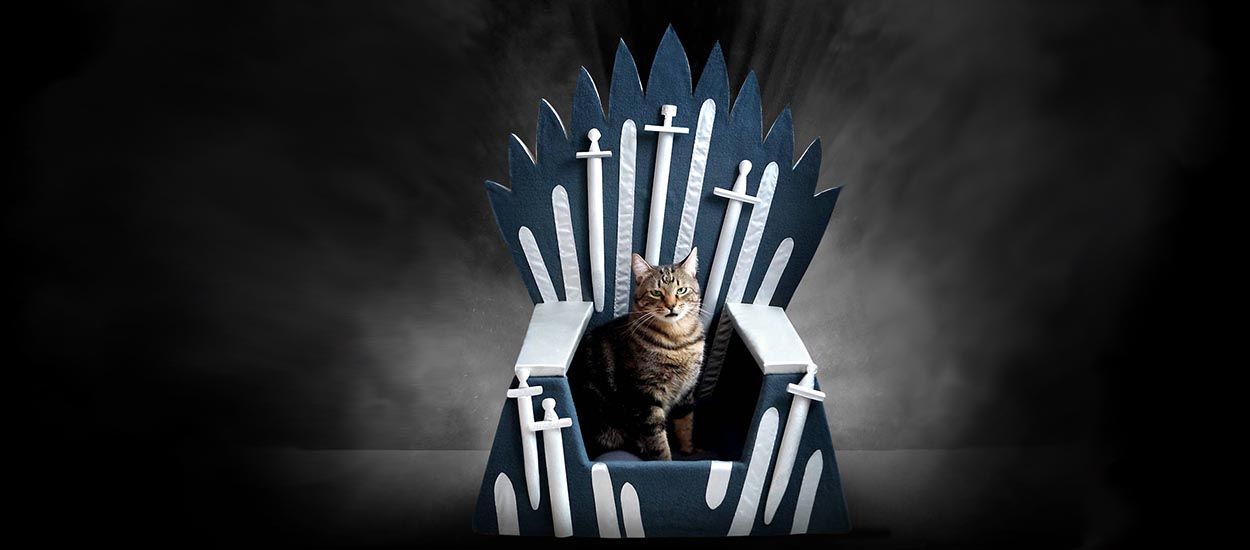 Votre chat aussi a le droit d'être fan de Game of Thrones !