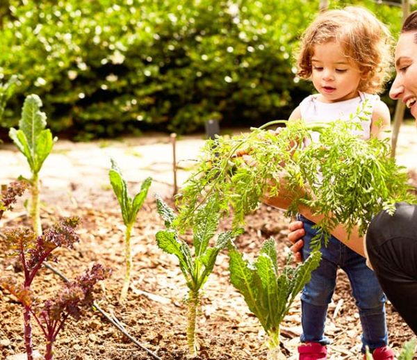 9 astuces écolos pour cultiver votre potager sans glyphosate et autres pesticides