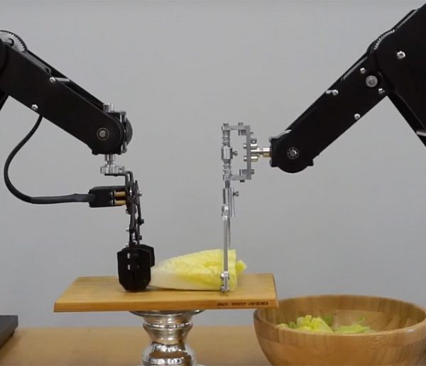 Dorna, ce robot insolite qui accomplit pour vous des tâches utiles (ou pas)