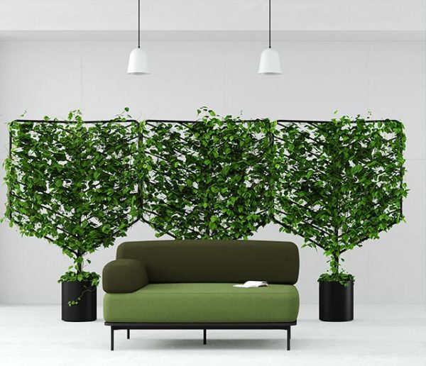 Ces panneaux végétaux forment d'élégants paravents design !