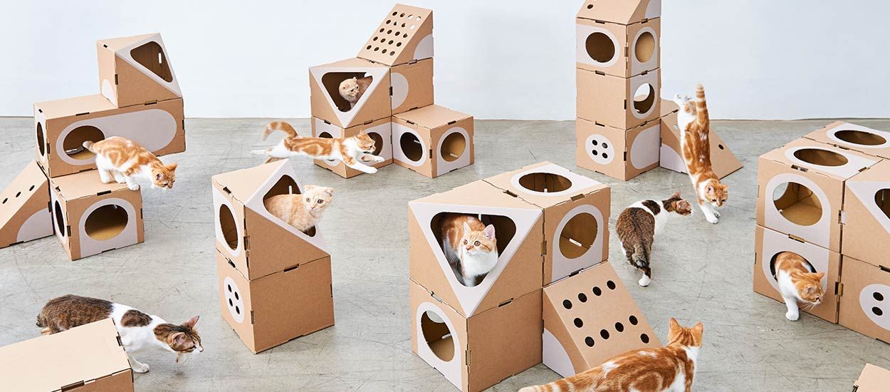 Jeu de construction : Cette maison pour chats est le rêve de tous les matous