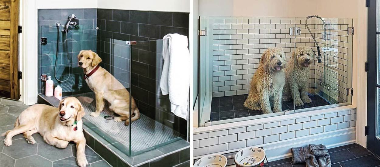 L'aménagement ultime pour gâter votre chien : une douche privée
