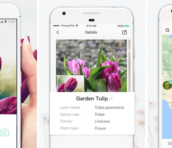 Cette application mobile vous donne le nom de toutes les fleurs que vous prenez en photo !