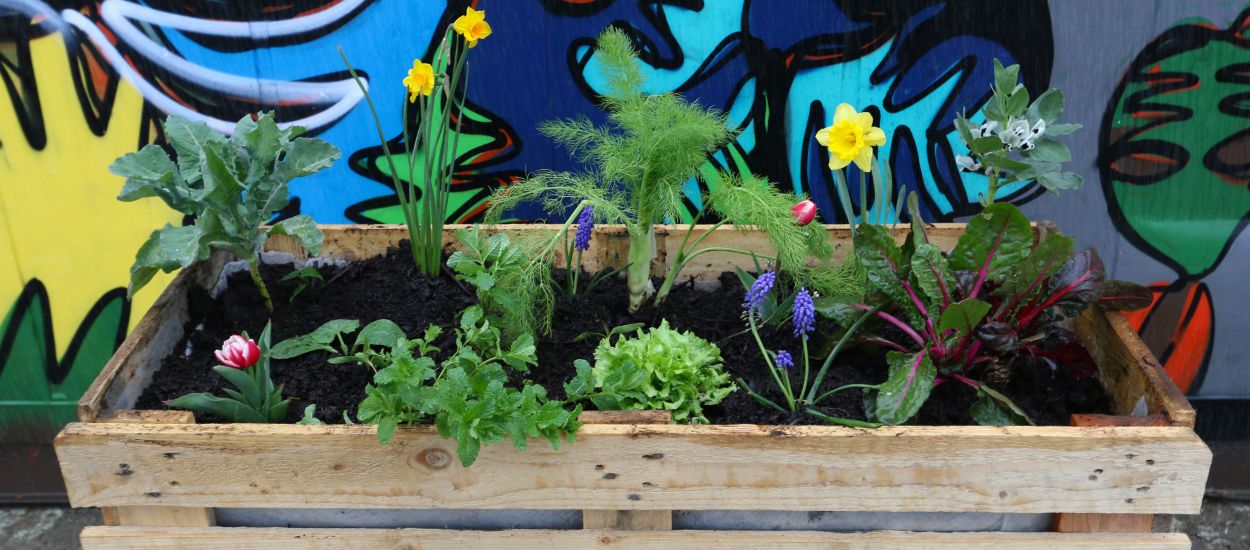 Tuto : Fabriquez un bac en palette pour végétaliser votre rue