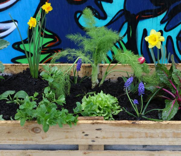 Tuto : Fabriquez un bac en palette pour végétaliser votre rue