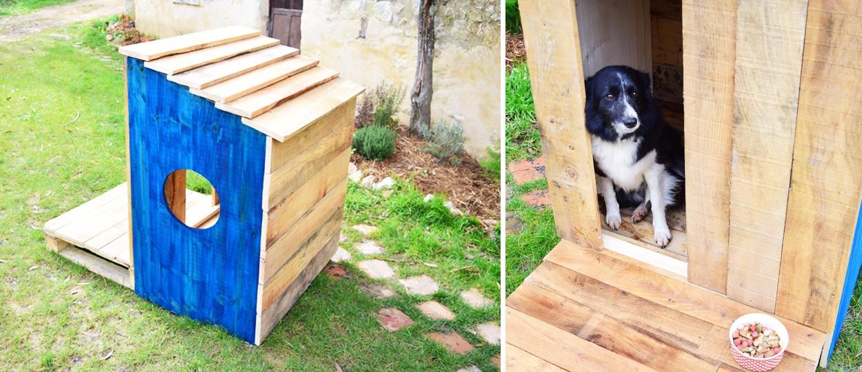 Tuto : Construisez une adorable niche en palettes pour moins de 60 euros