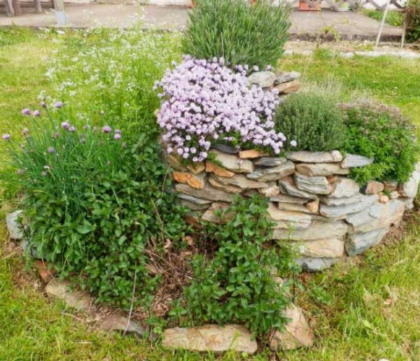 Créez votre spirale d'herbes aromatiques pour un beau jardin en permaculture