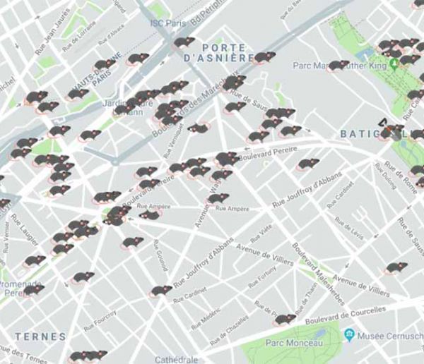 Signalez la présence de rats dans votre quartier sur cette carte interactive