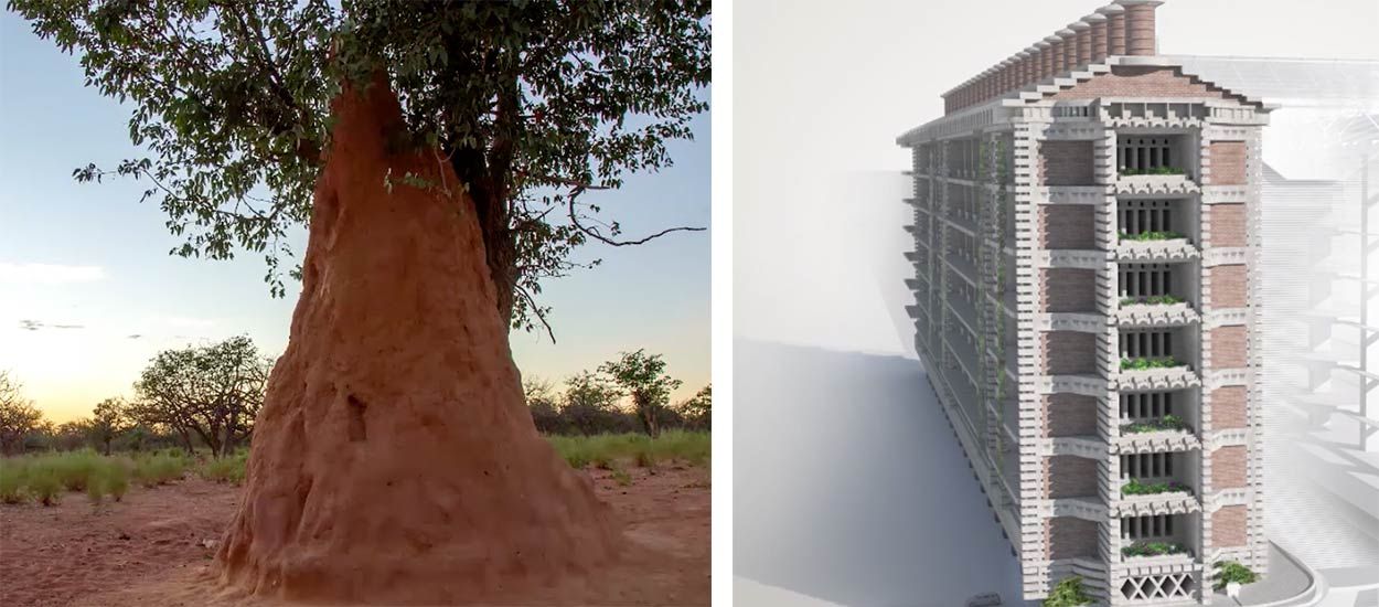 Cet immeuble s'inspire des prouesses des termites pour se passer de clim'