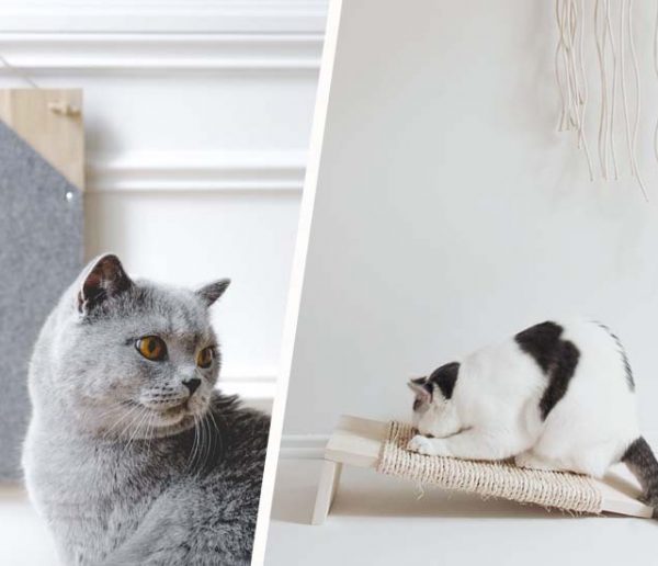 Tutos : 7 griffoirs à fabriquer vous-mêmes pour le plaisir de votre chat (et de vos yeux)