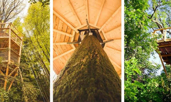 Conseils d'experts pour construire une cabane dans les arbres cool et sécurisée