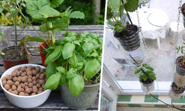 Tuto : fabriquez votre propre ferme de fenêtre pour cultiver, même sans jardin !