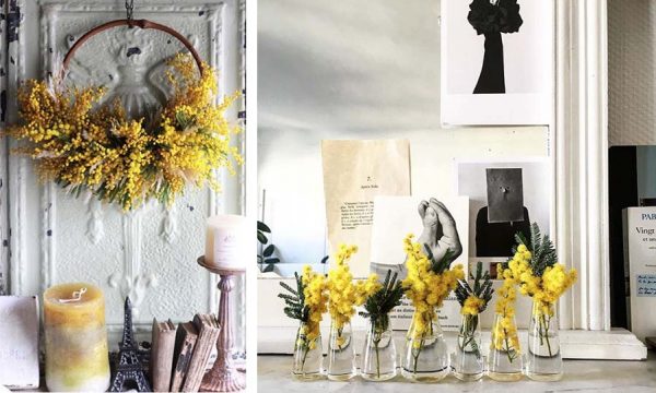 10 idées déco pour adopter le mimosa, la fleur qui vous apporte du soleil en hiver