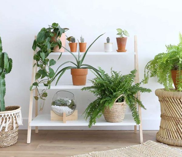 Tuto : Fabriquez une étagère pour vos plantes en moins de deux heures !