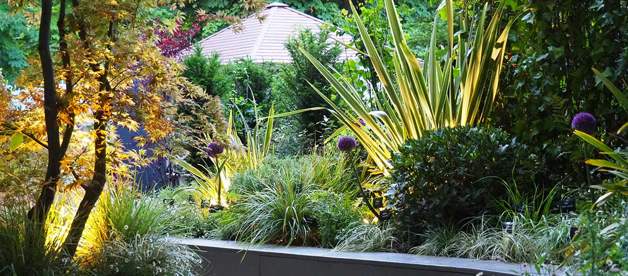 3 conseils d'éclairage pour mettre en valeur vos plantes dans le jardin