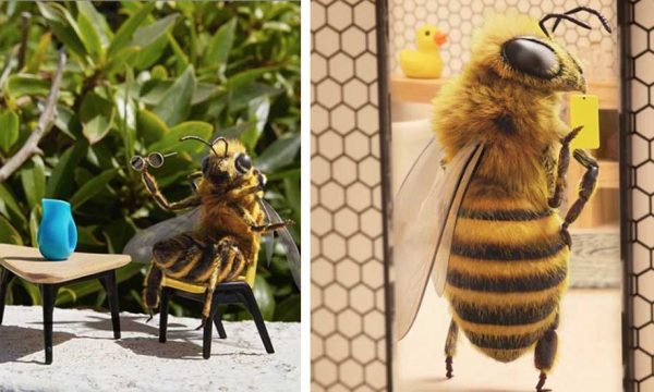 Suivez B. sur Instagram, la première abeille influenceuse qui veut sauver ses copines !