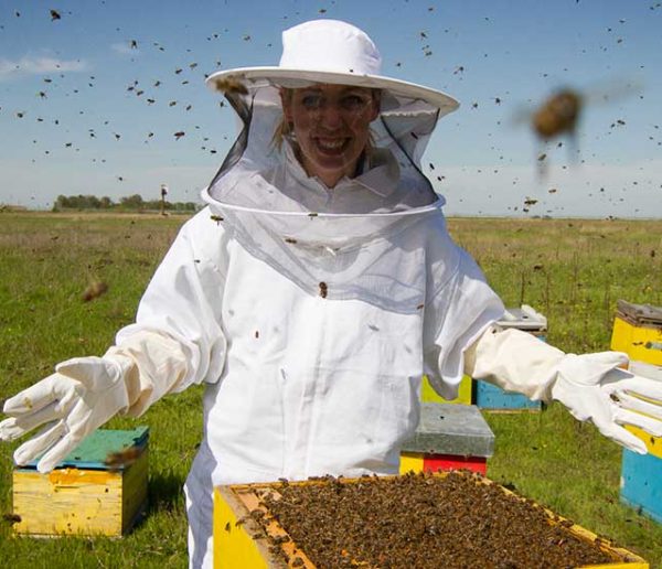 Un essaim d'abeilles chez vous ? Trouvez ici un apiculteur pour le récupérer et en prendre soin