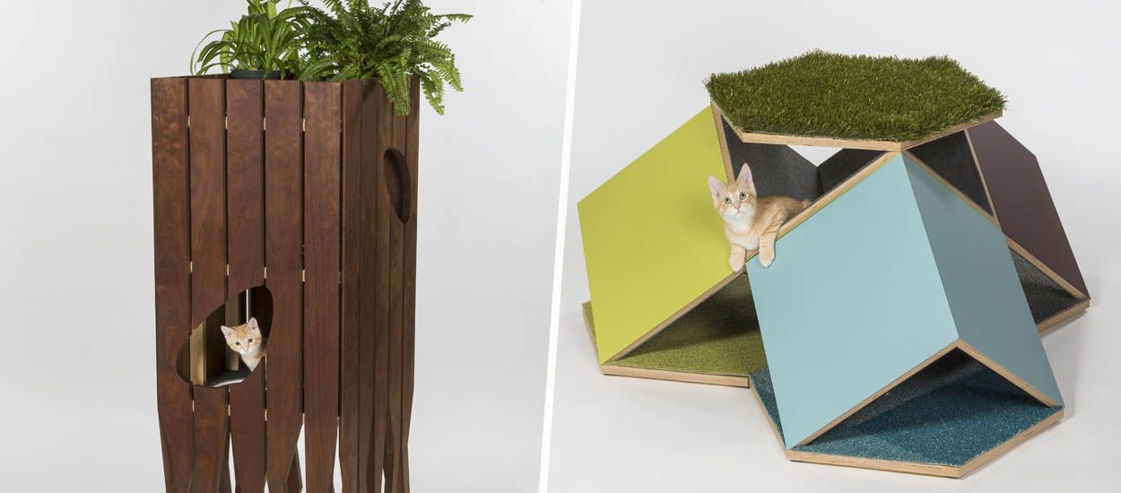 Des architectes inventent des cabanes pour les chats afin de récolter des dons