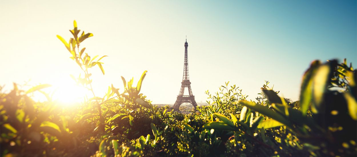 Stop au bitume : la ville de Paris met en place un dispositif pour végétaliser les trottoirs