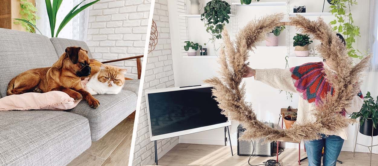 Les bons plans de la blogueuse Zess pour décorer votre appartement (et poster les photos)