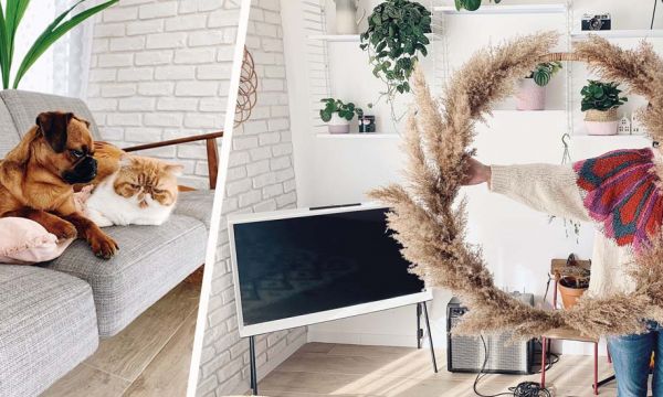 Les bons plans de la blogueuse Zess pour décorer votre appartement (et poster les photos)