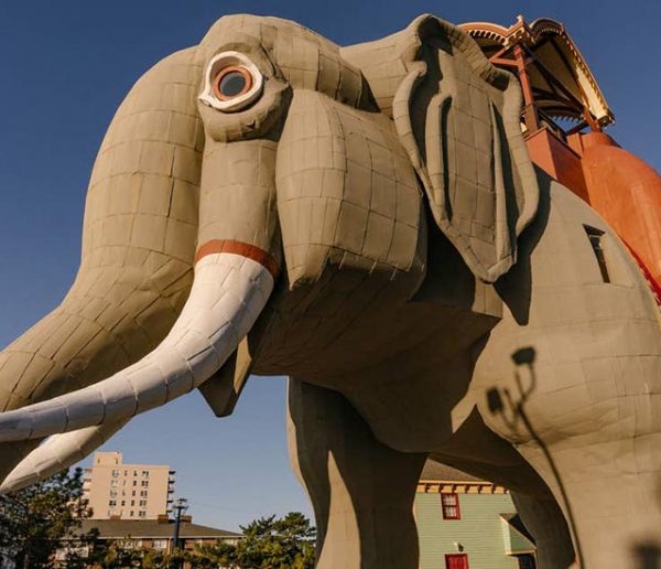 Cet éléphant géant en bois ouvre ses portes pour quelques nuits sur Airbnb