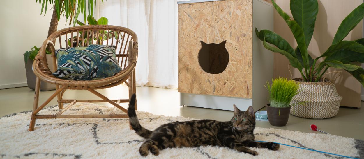 Tuto : Transformez un caisson de cuisine en meuble cache-litière pour votre chat !