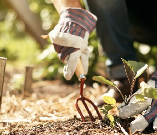 11 façons de faire un engrais naturel pour votre jardin