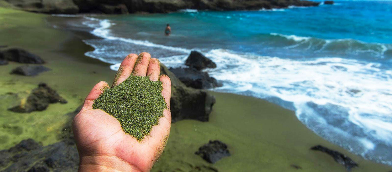 Une ONG va faire des plages de sable vert pour capturer la pollution aux Caraïbes