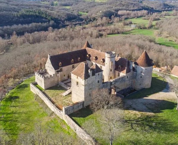 L'ancien château de Léo Ferré est mis aux enchères : qui veut le transformer en écolieu ?