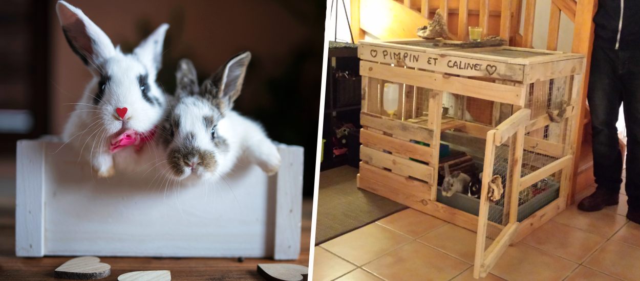10 idées pour fabriquer une cage ou un enclos confortable pour votre lapin