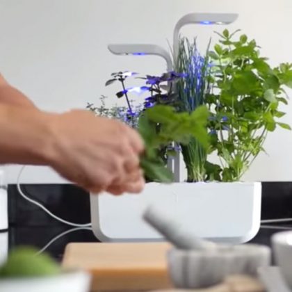 Pas besoin d'avoir la main verte pour cultiver vos légumes avec ce potager d'intérieur