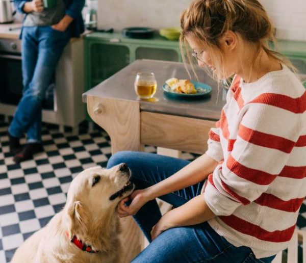 Est-il raisonnable d'adopter un chien quand on habite en appartement ?